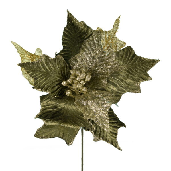 Πικ αλεξανδρινό βελούδο