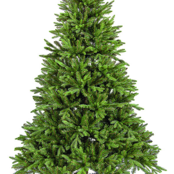 PRUNNUS 2,70m