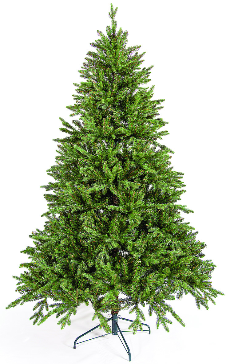 PRUNNUS 2,70m