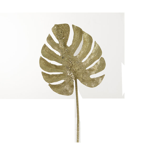 Φύλλο monstera