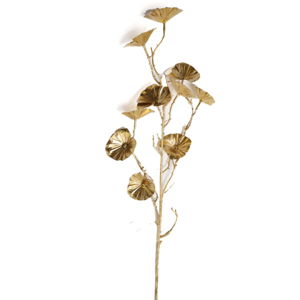 Κλαδί "Morning Glory"