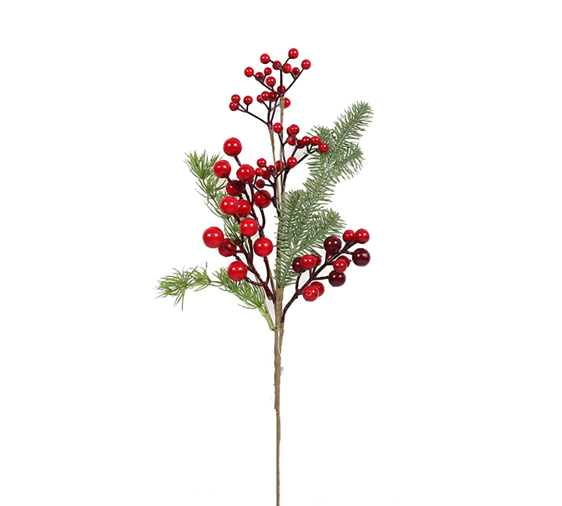 Κλαδί με κόκκινα berries & κλαδιά έλατου (P.E)