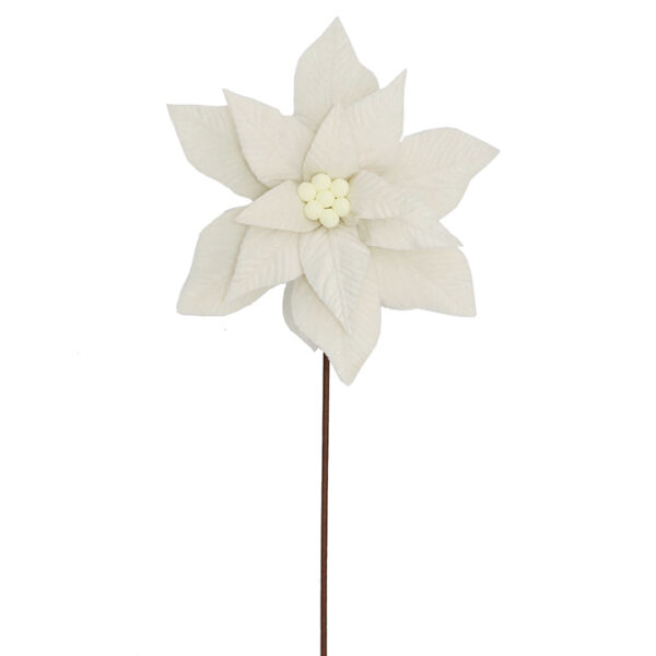 Forest Poinsettia Ivory