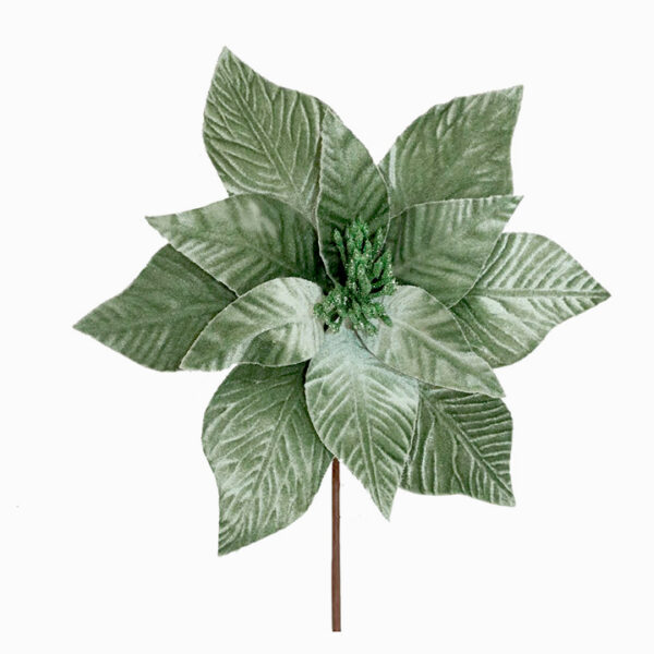 Velvet poinsettia mint green