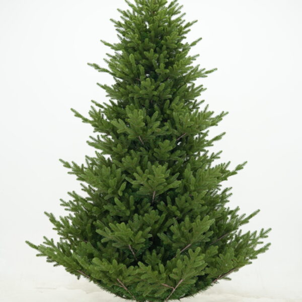 Χριστουγεννιάτικο Δέντρο Starley 210cm
